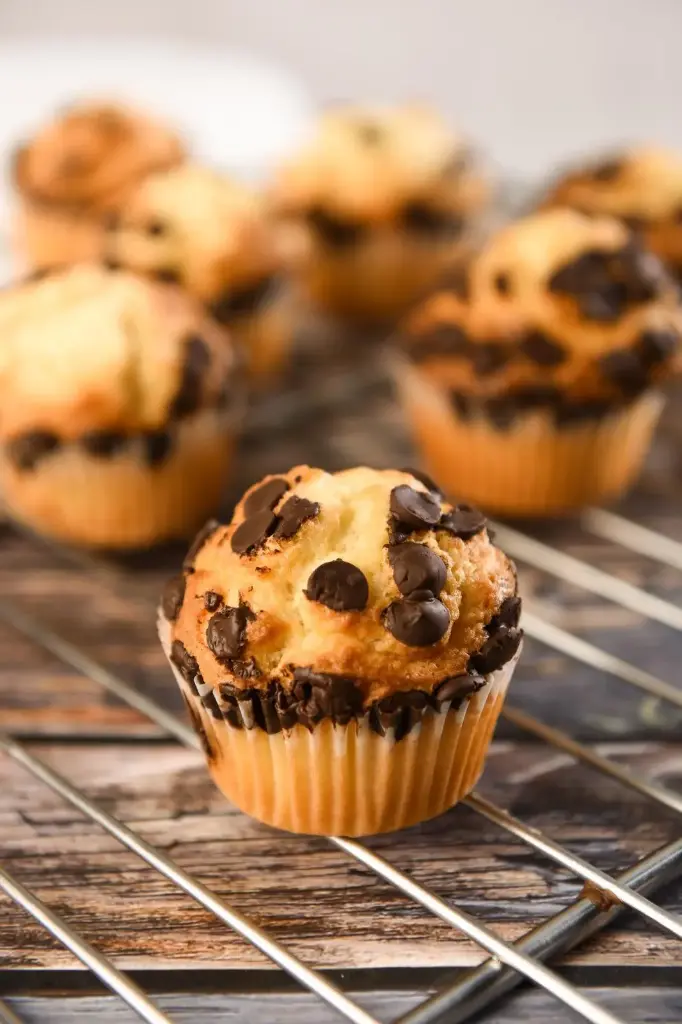 1PC VANILLA CHOCOCHIP CUPCAKE