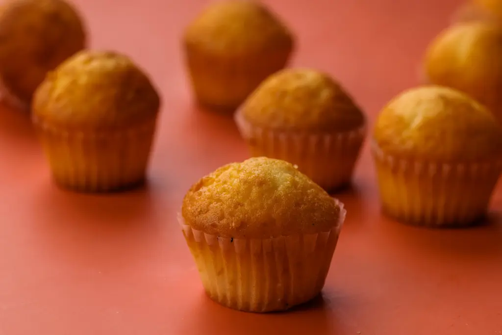 CUP CAKE MINI X10